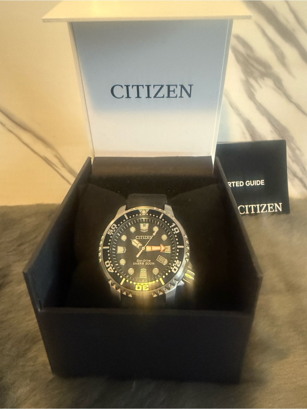 Citizen Eco-Drive Dive Watch in Black and Silver